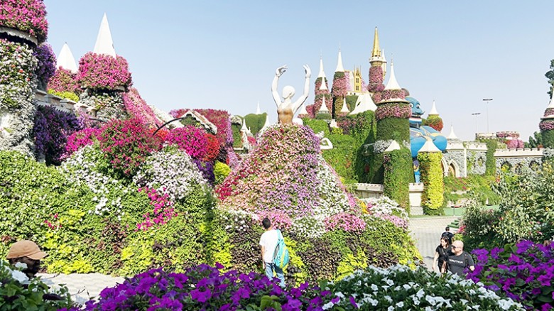 মরুর বুকে ফুলের বাগান 